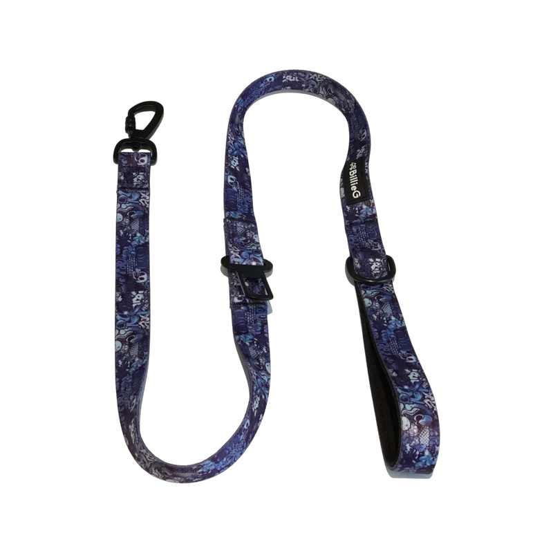 BillieG Stylish Nylon Dog Lead