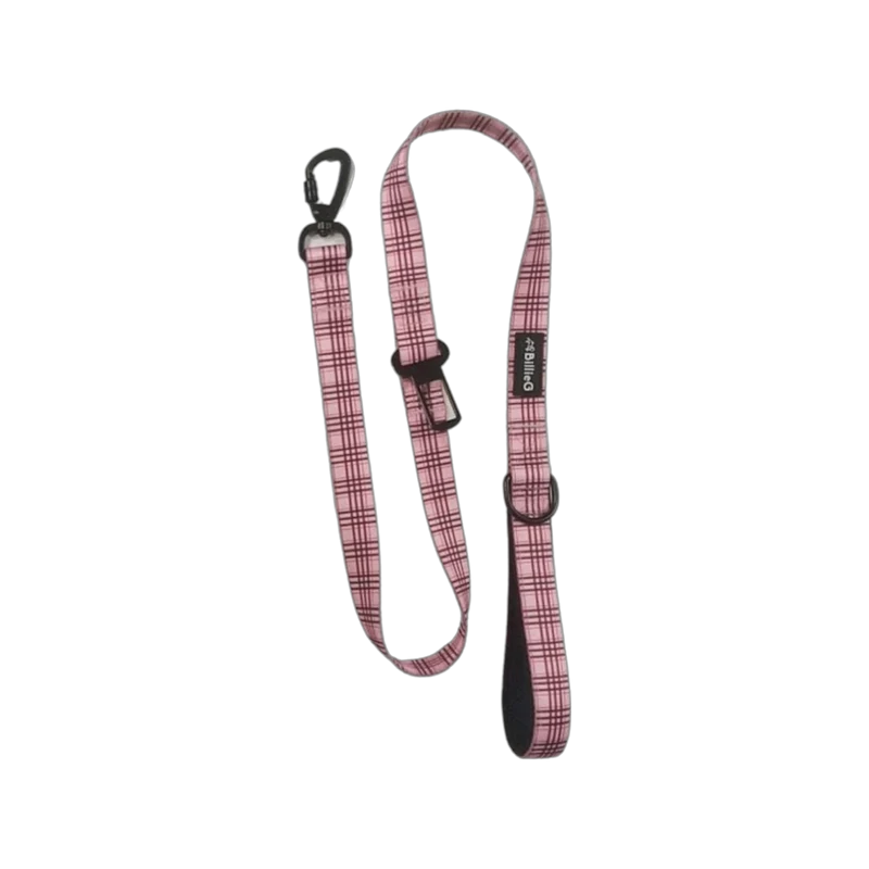 BillieG Stylish Nylon Dog Lead