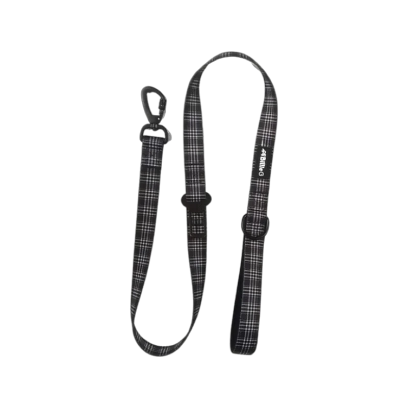 BillieG Stylish Nylon Dog Lead