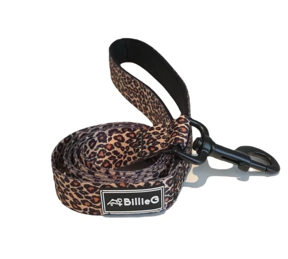 BillieG Stylish Nylon Dog Lead