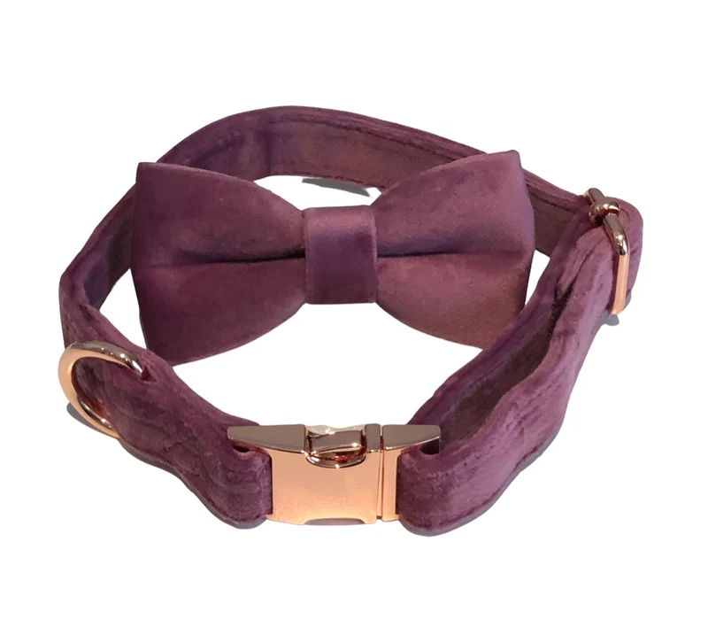 BillieG Velour Bow Tie & Dog Collar