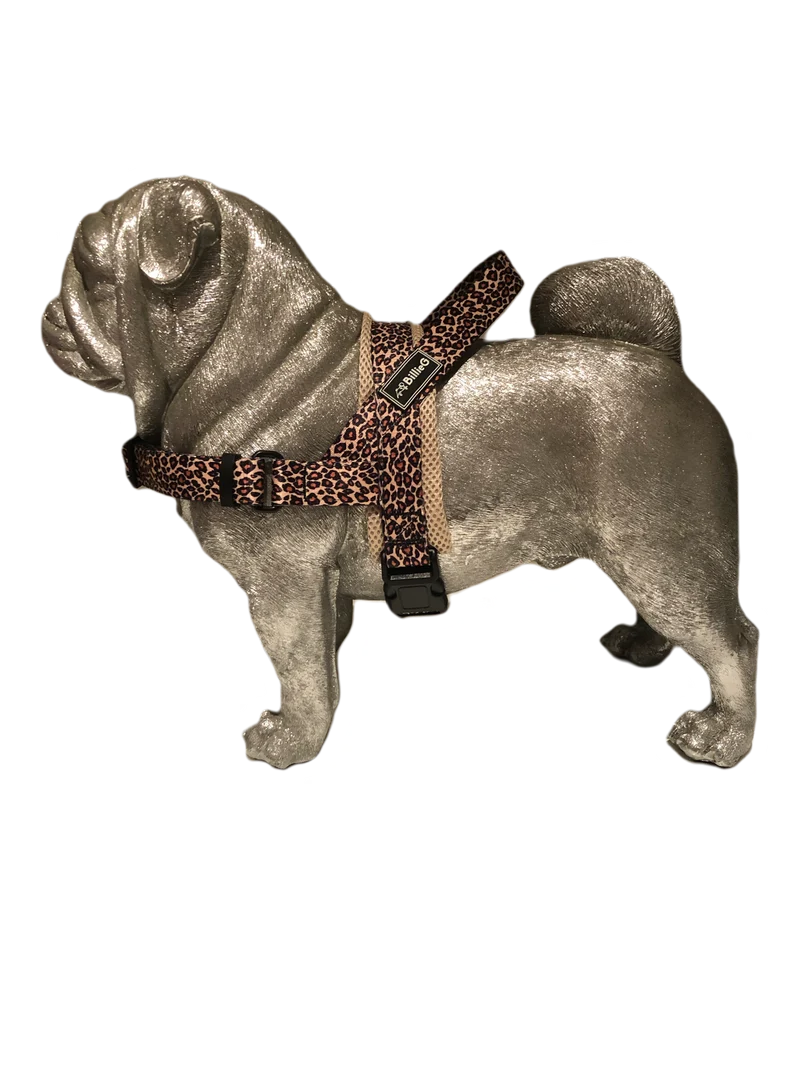 BillieG stylish easy fit, no pull, adjustable multipurpose quick release dog harness