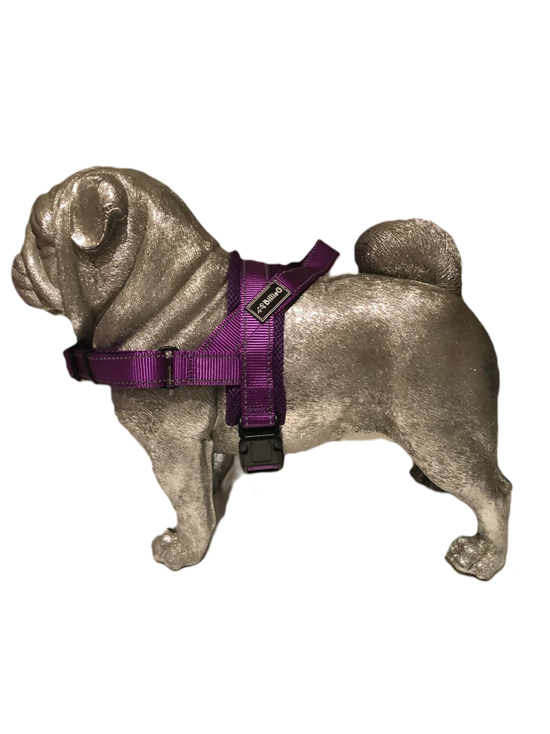 BillieG stylish easy fit, no pull, adjustable multipurpose quick release dog harness