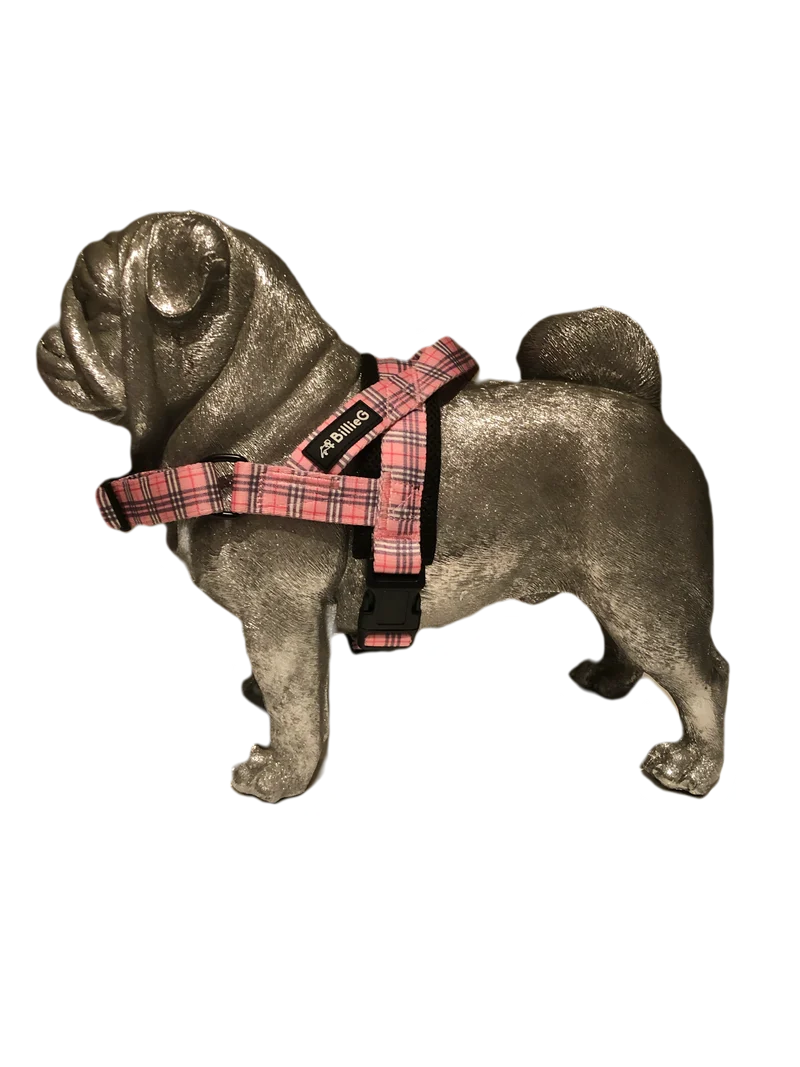 BillieG stylish easy fit, no pull, adjustable multipurpose quick release dog harness