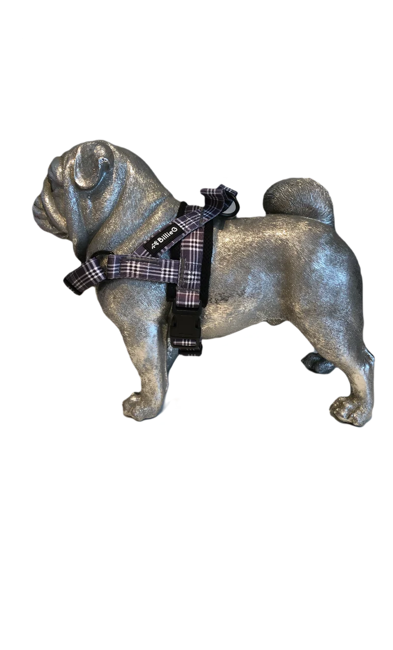 BillieG stylish easy fit, no pull, adjustable multipurpose quick release dog harness