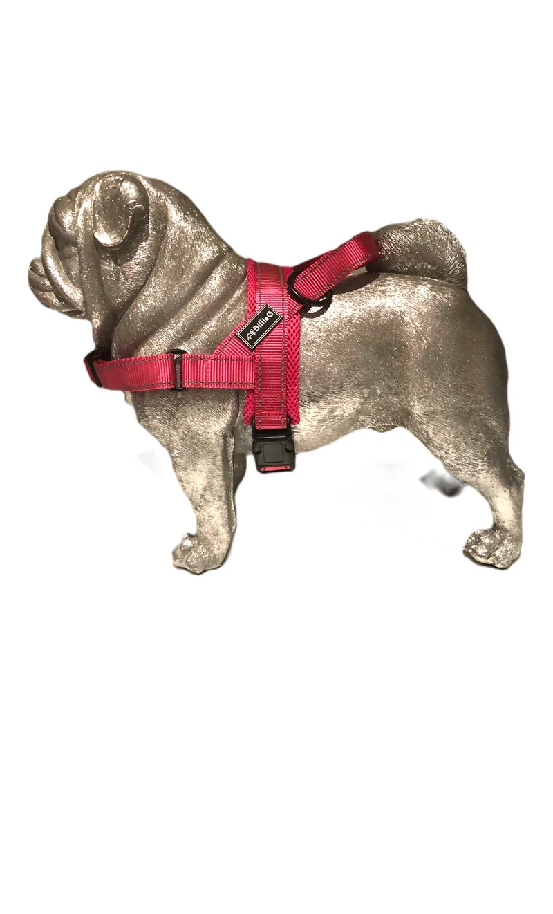 BillieG stylish easy fit, no pull, adjustable multipurpose quick release dog harness