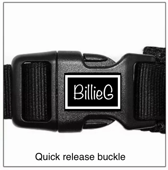 BillieG stylish easy fit, no pull, adjustable multipurpose quick release dog harness