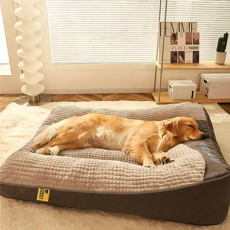 Cuccia Ortopedica Memory Foam con Poggiatesta per Cani Grandi