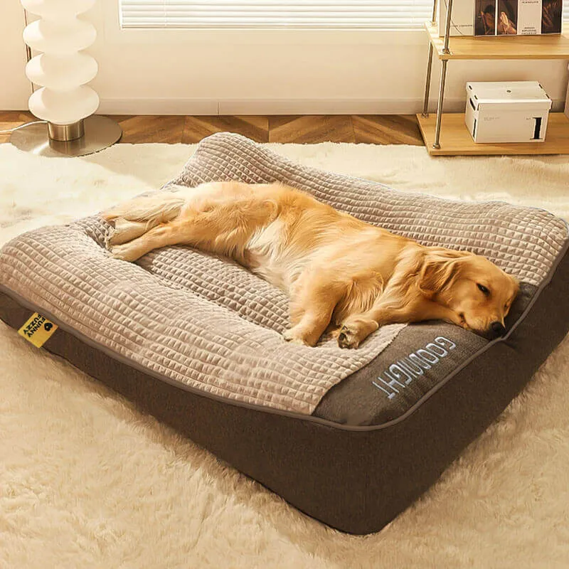 Cuccia Ortopedica per Cani con Cuscino — Velluto Morbido