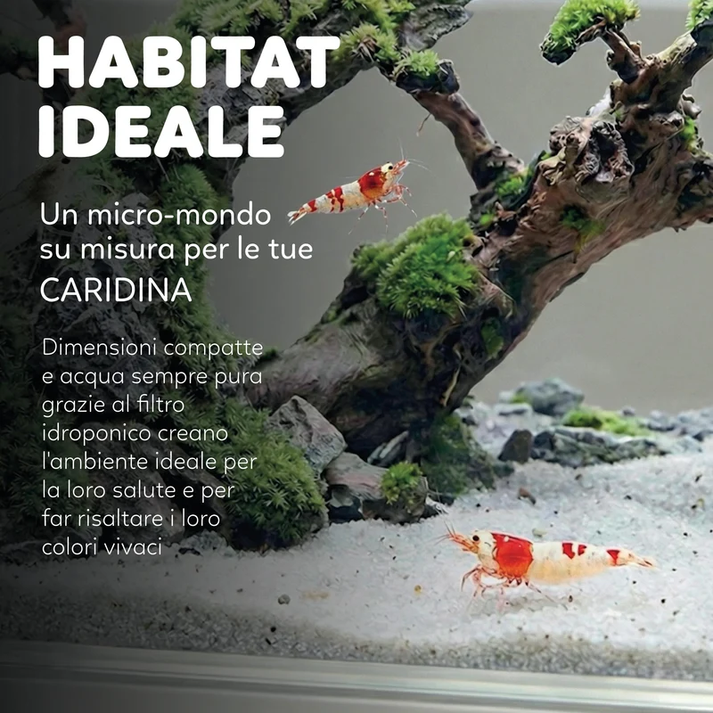 AQPet HyDo Acquario in plastica da scrivania 18x9.5x21