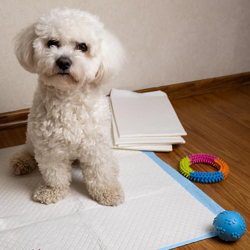 AqpetFriends Nappy Pet Basic Tappetino Assorbente Con Strisce Adesive 180 pz