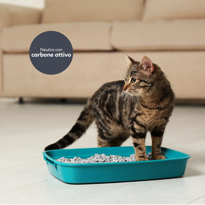 AqpetFriends Catty Green Lettiera Naturale per Gatti Alla Soia Con Carbone Attivo 36 L (6 confezioni da 6 litri)