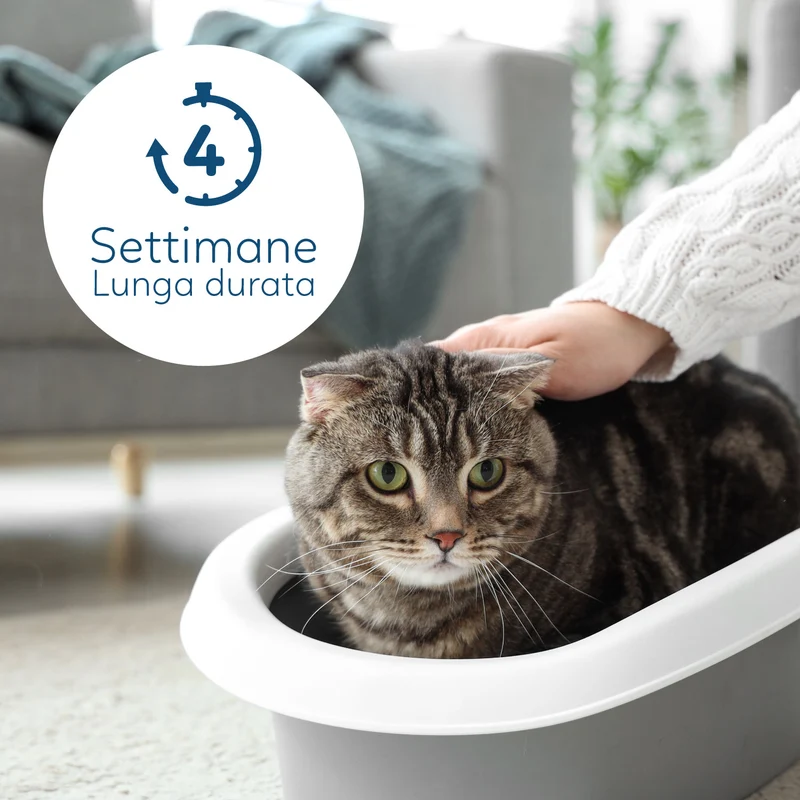 AqpetFriends Catty Pure Lettiera In Silicio per Gatti - Check PH - 30 L (6 confezioni da 5 lt)
