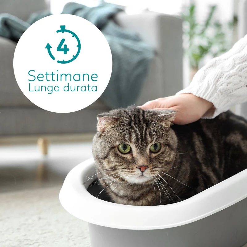 AqpetFriends Catty Lettiera In Silicio per Gatti - Profumazione Talco - 5 L