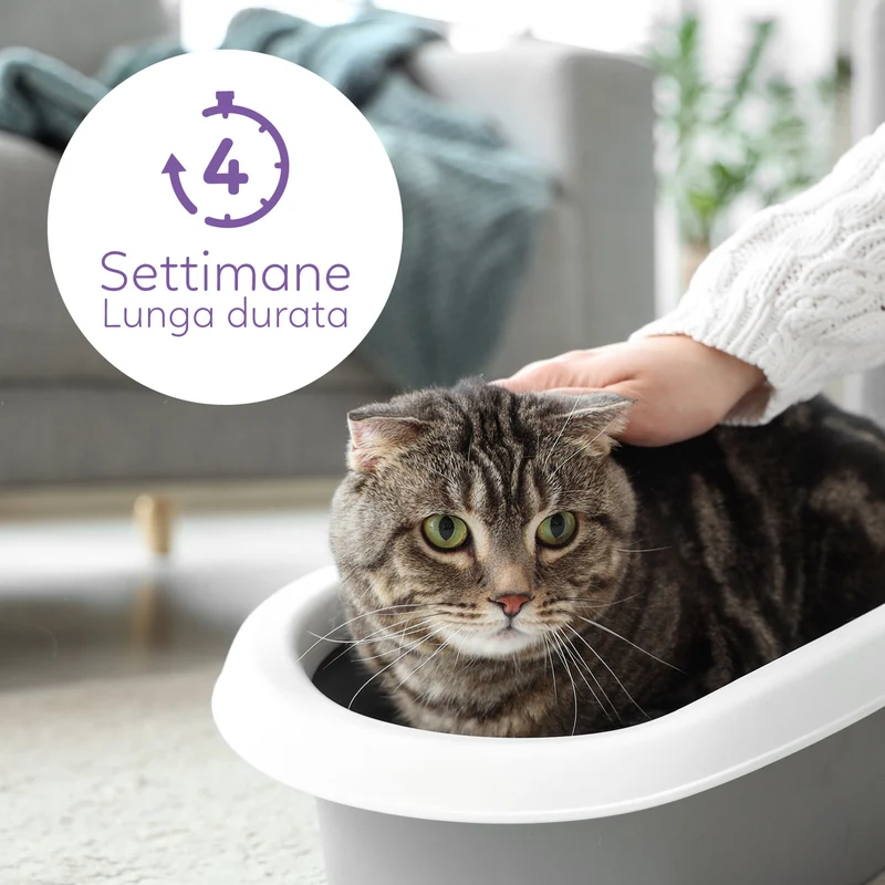 AqpetFriends Catty Lettiera In Silicio per Gatti - Profumazione Lavanda - 5 L