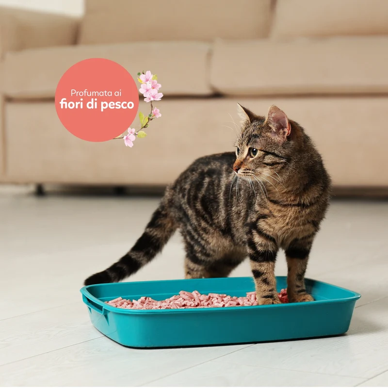 AqpetFriends Catty Green Lettiera Naturale per Gatti Alla Soia Fragranza Alla Pesca 36 L (6 confezioni da 6 lt)