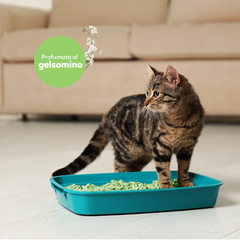 AqpetFriends Catty Green Lettiera Naturale per Gatti Alla Soia Fragranza Al Gelsomino 36 L (6 confezioni da 6 lt)