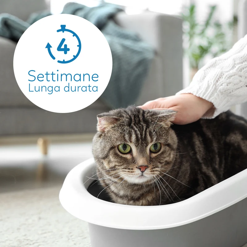 AqpetFriends Catty Pure Lettiera In Silicio per Gatti 30 L (6 confezioni da 5 lt)