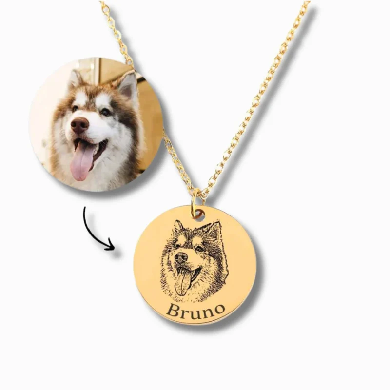 Custom Photo Disc Pet Necklace & Keychain