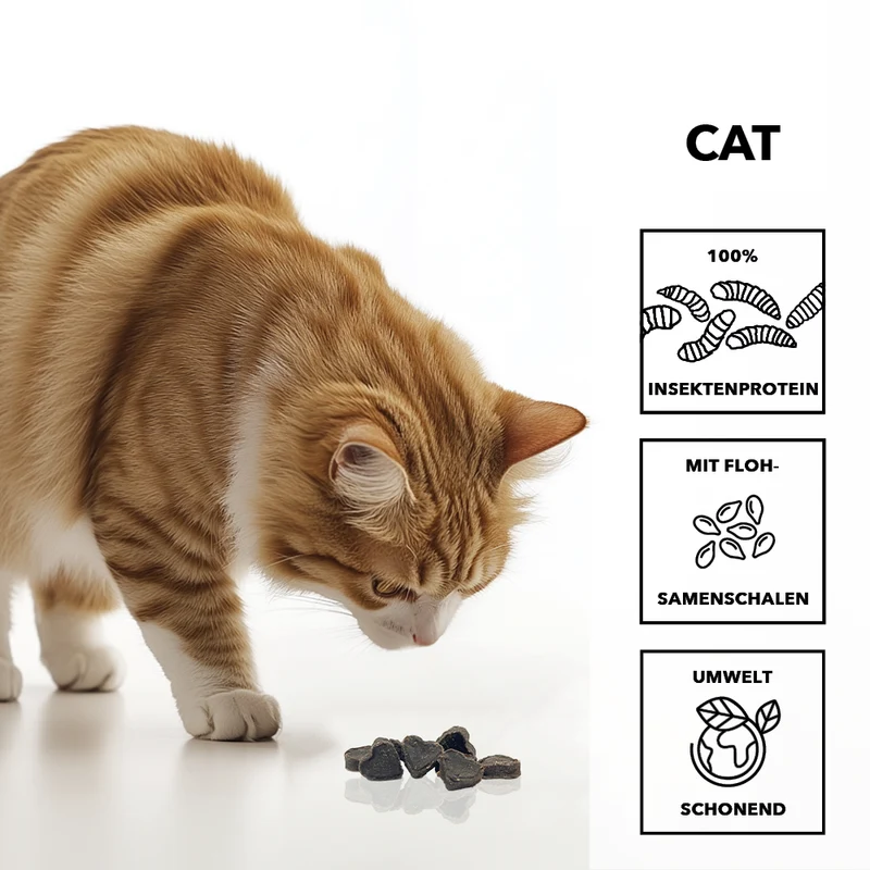 entoVITAL CAT Soft Snacks - Neue Rezeptur