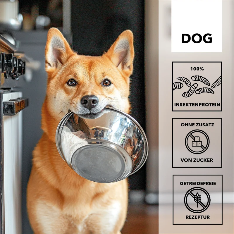 entoVITAL DOG SENSITIV Nassfutter