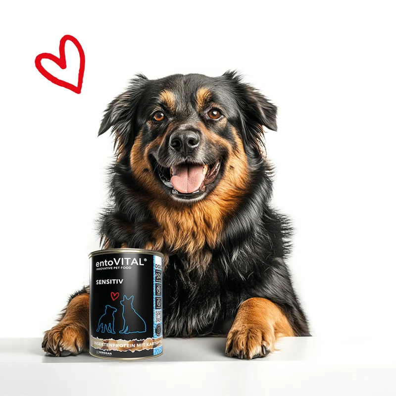 entoVITAL DOG SENSITIV Nassfutter
