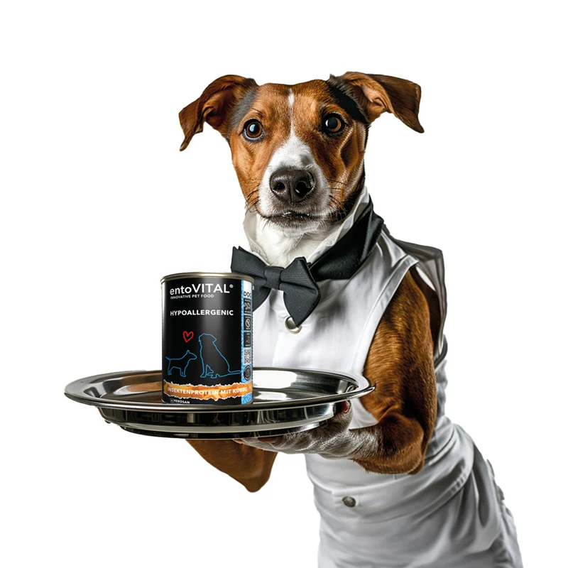 entoVITAL DOG HYPOALLERGENIC Nassfutter
