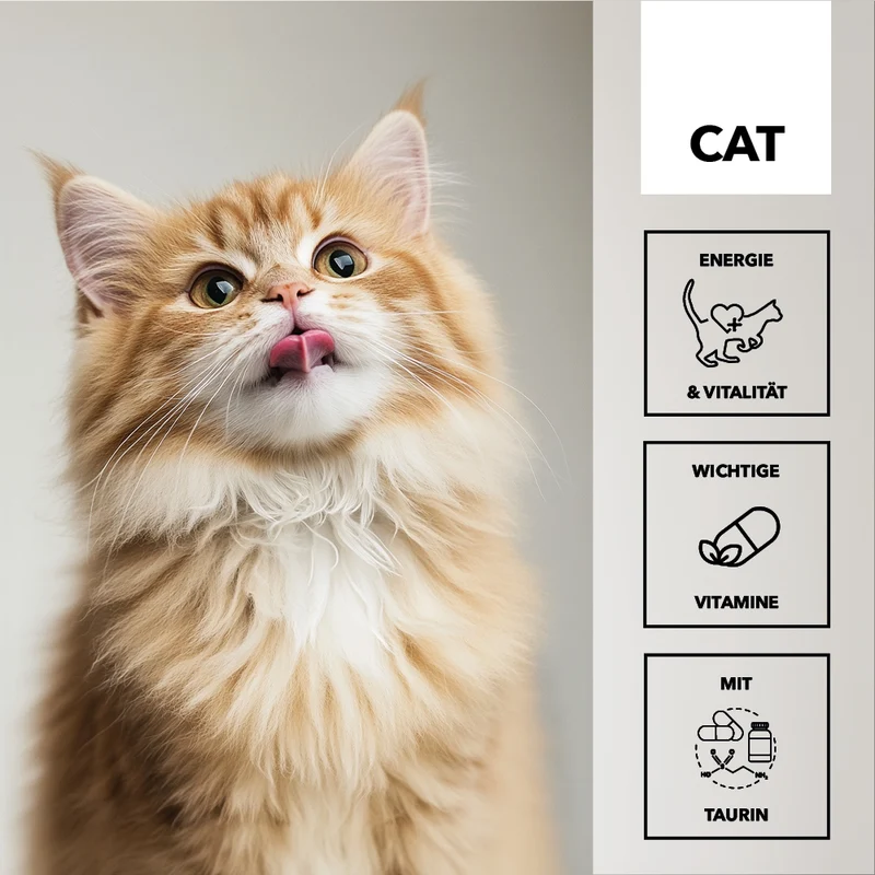 entoVITAL CAT vitamin boost (VPE 6 Stk.)