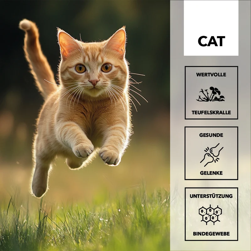 entoVITAL CAT mobility