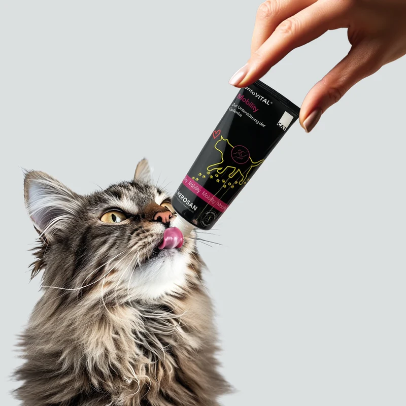 entoVITAL CAT mobility