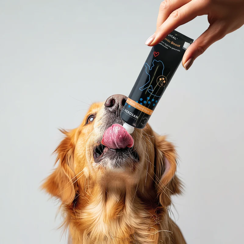 entoVITAL DOG vitamin boost (VPE 6 Stk.)