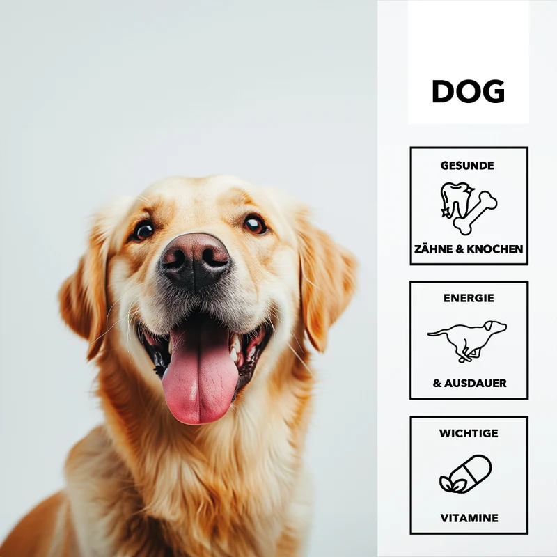 entoVITAL DOG vitamin boost (VPE 6 Stk.)
