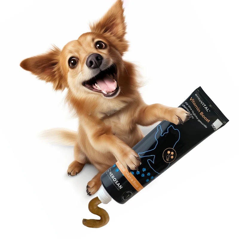 entoVITAL DOG vitamin boost (VPE 6 Stk.)