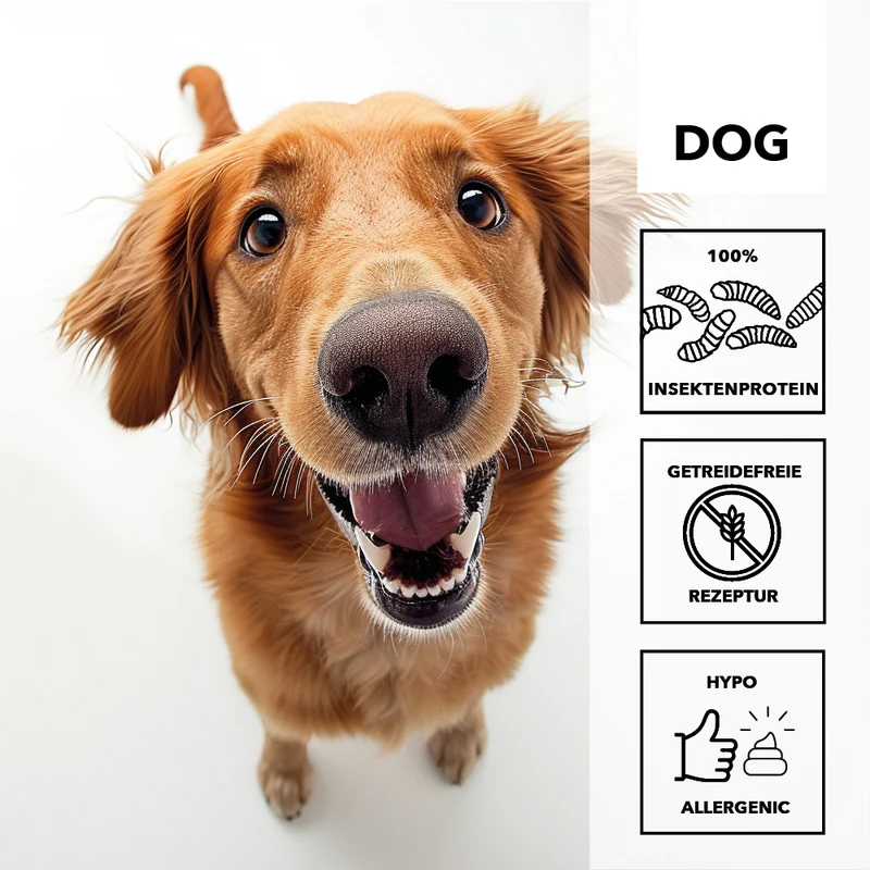 entoVITAL DOG Schleckpaste (VPE 6 Stk.)