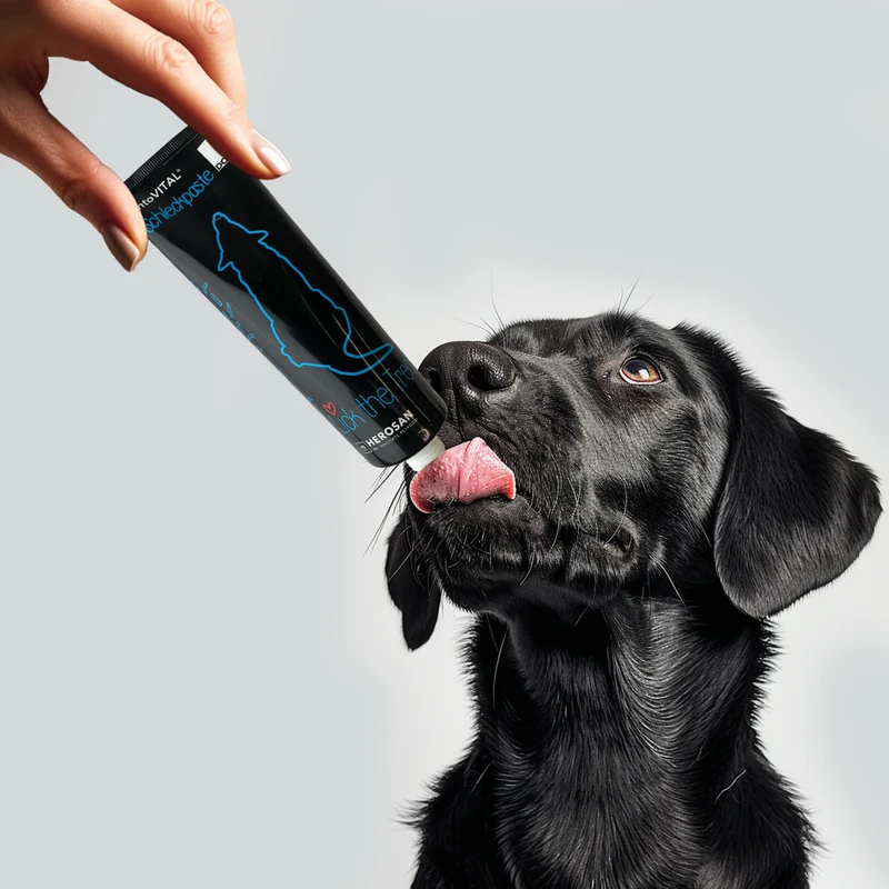 entoVITAL DOG Schleckpaste (VPE 6 Stk.)