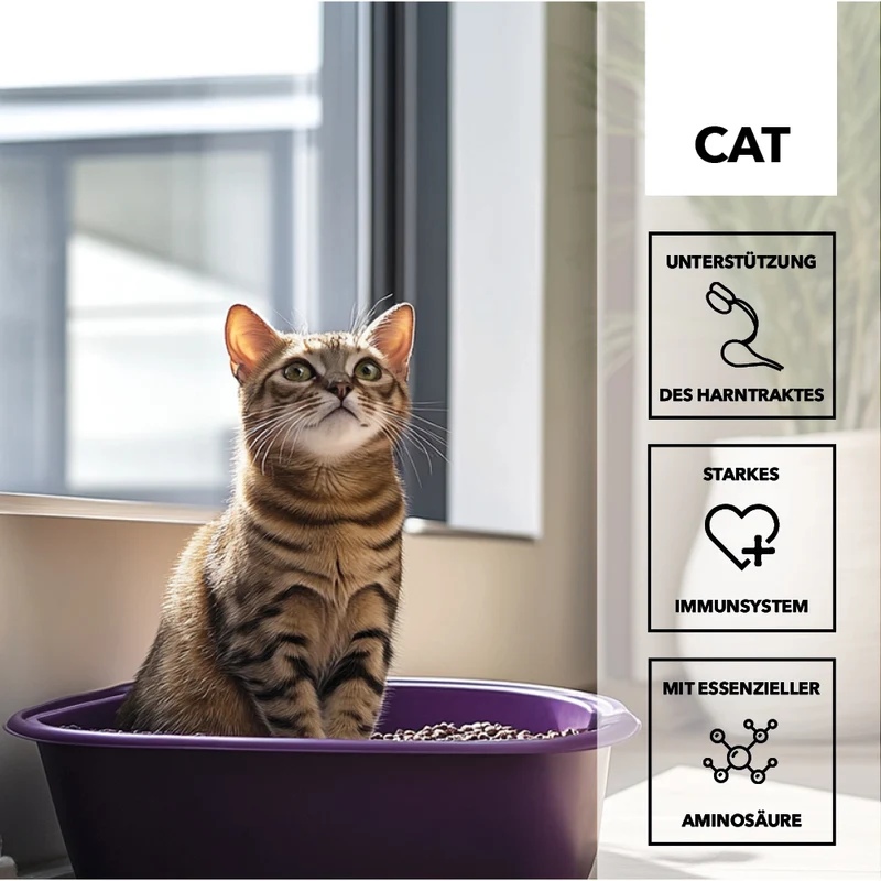 entoVITAL CAT uro care (VPE 6 Stk.)