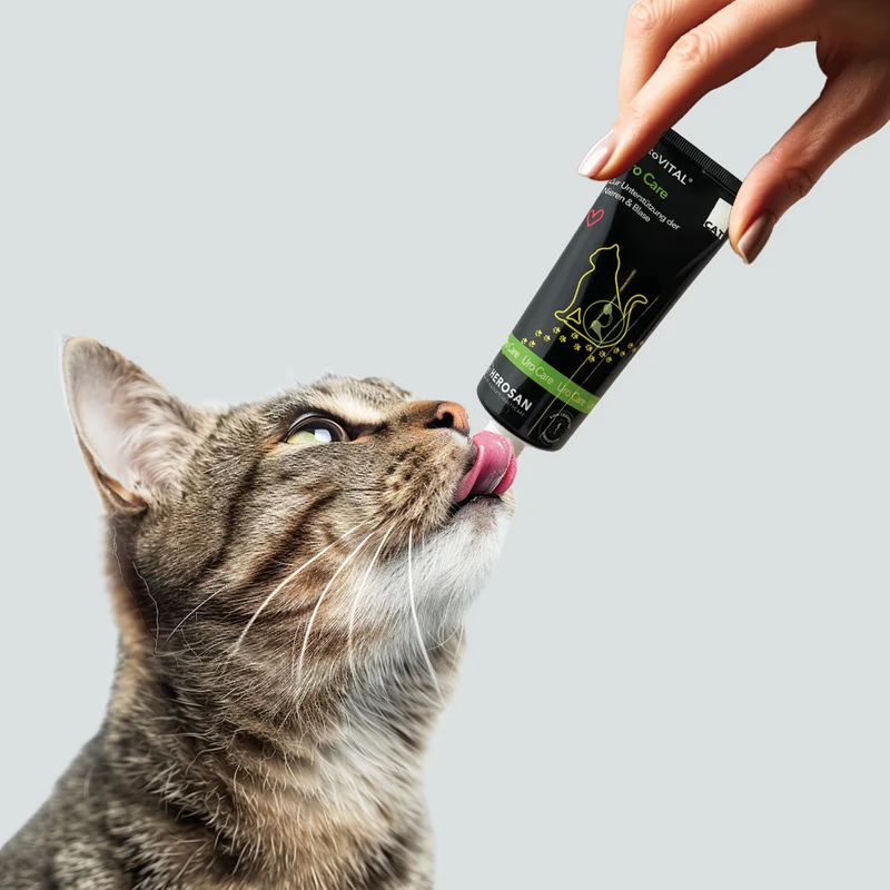 entoVITAL CAT uro care (VPE 6 Stk.)