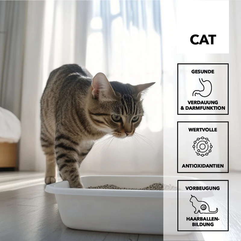 entoVITAL CAT gastro intestinal (VPE 6 Stk.)
