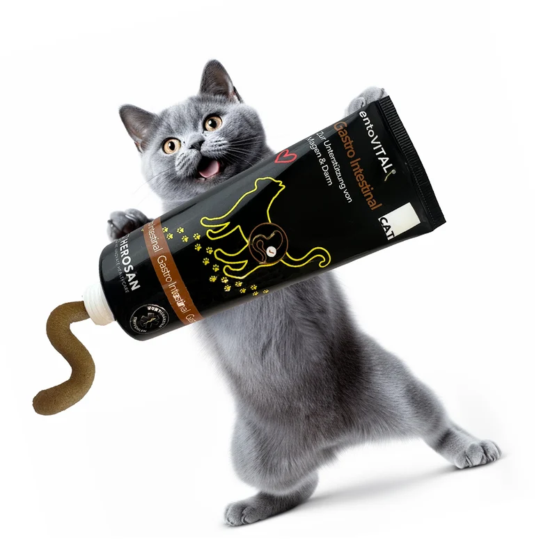 entoVITAL CAT gastro intestinal (VPE 6 Stk.)