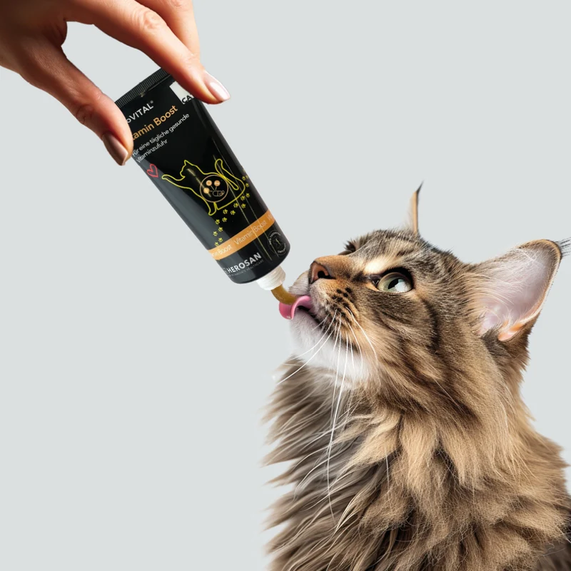 entoVITAL CAT vitamin boost (VPE 6 Stk.)