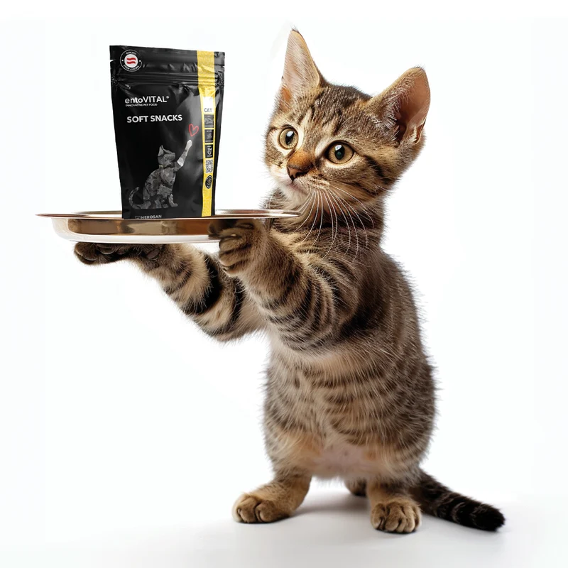 10x entoVITAL CAT Soft Snacks
