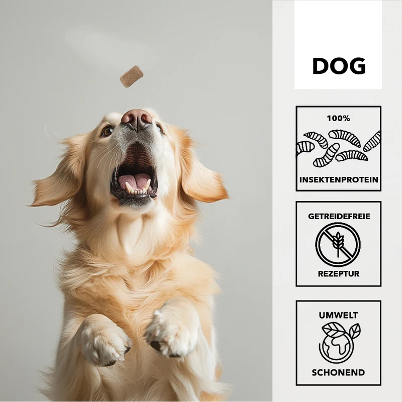 8x entoVITAL DOG Cubes