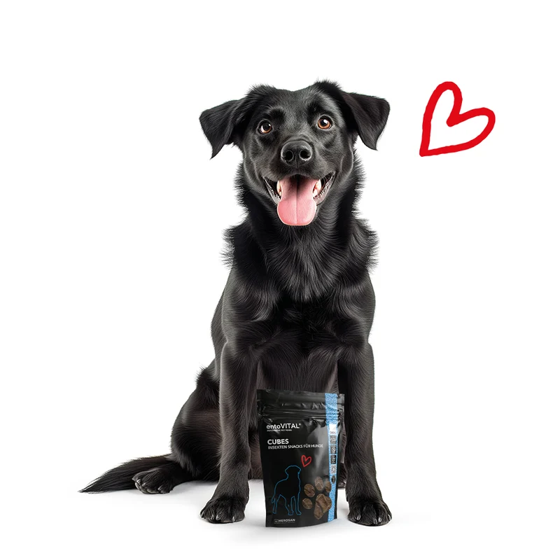 8x entoVITAL DOG Cubes