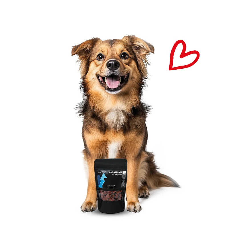 entoVITAL DOG trick & treats