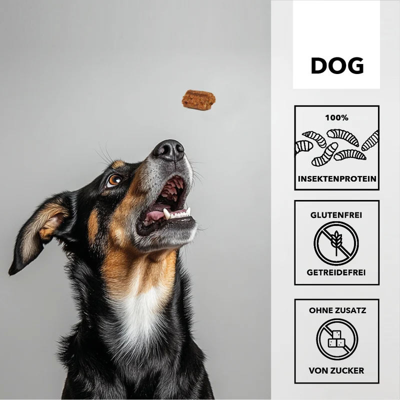 entoVITAL DOG trick & treats