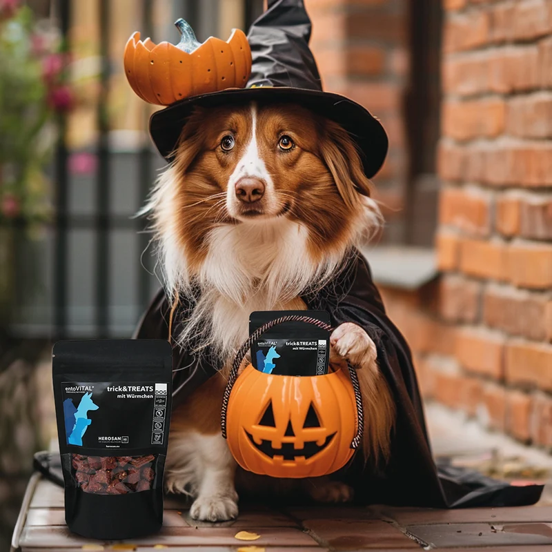 entoVITAL DOG trick & treats