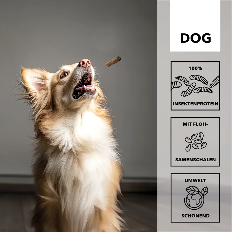 10x entoVITAL DOG Soft Snacks