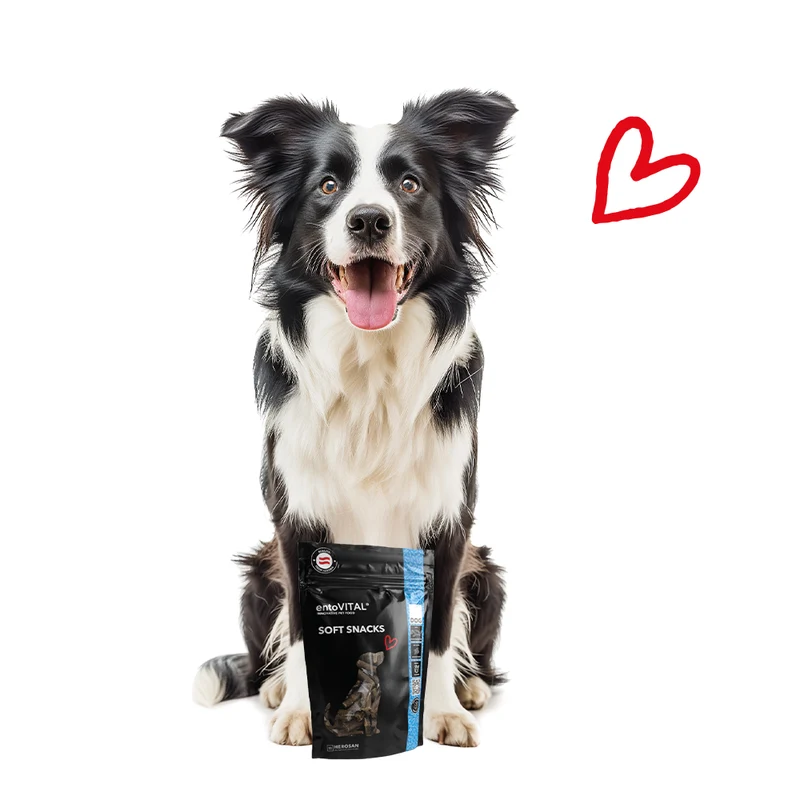 10x entoVITAL DOG Soft Snacks