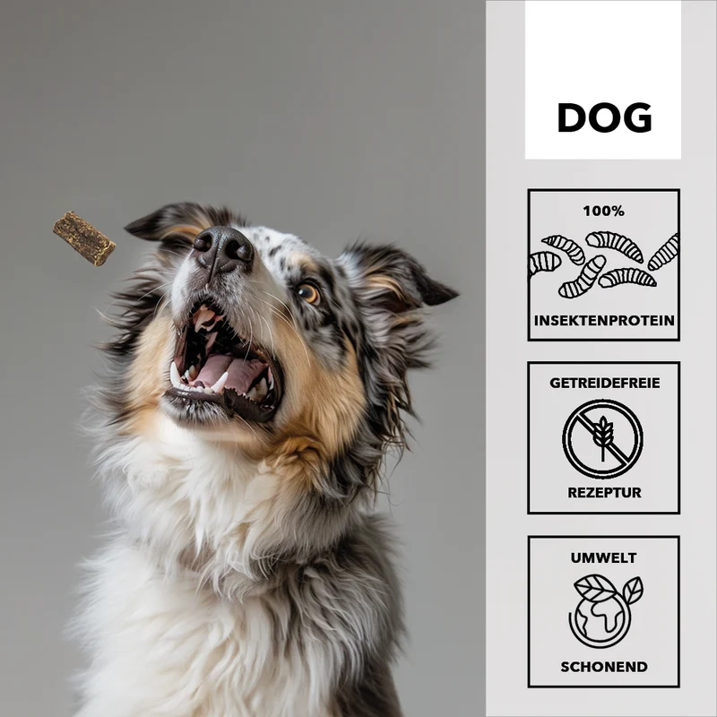 10x entoVITAL DOG Soft Snacks Hypoallergenic