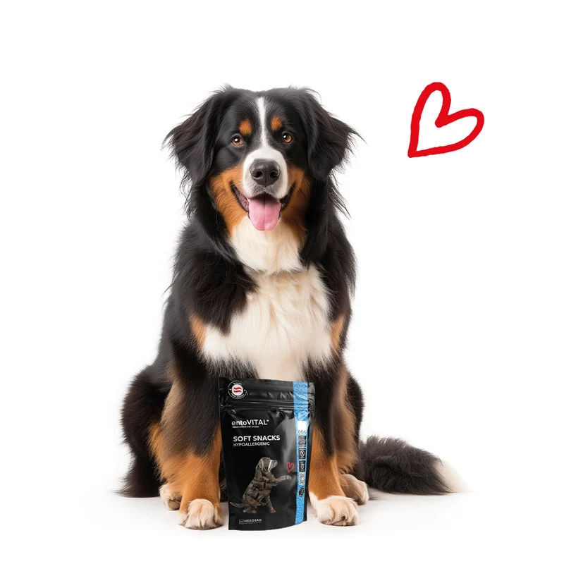 10x entoVITAL DOG Soft Snacks Hypoallergenic